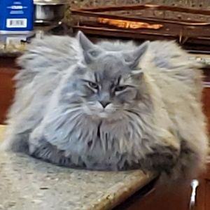 Meet your Posher, Evan